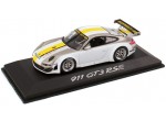 Модель автомобиля Porsche 911 GT3 RSR 2014